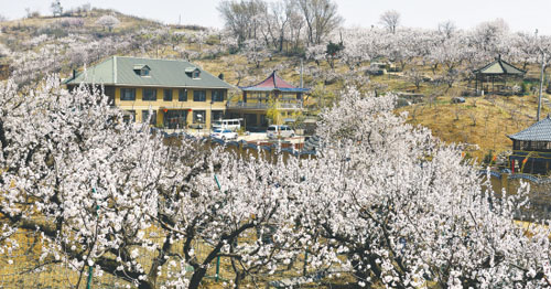 1519712044345085836.jpg 286ed488c7e51a5eb82802.jpg