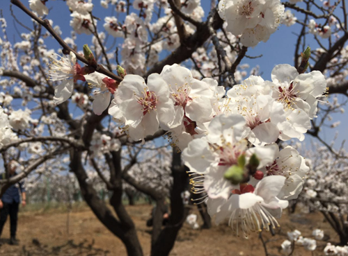 1519712069429038692.png 286ed488c7e51a5eb91106.png