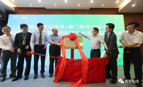 1499045427871055605.jpg 01.jpg