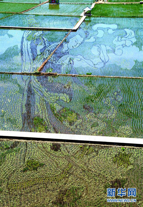 1519637553472041581.jpg 44444.jpg