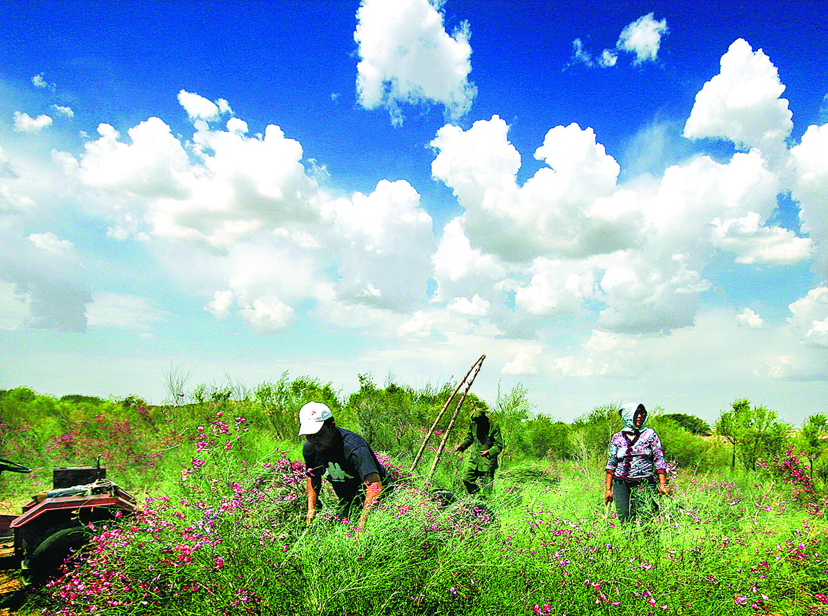 1505179239103062682.jpg 1505179239103062682.jpg