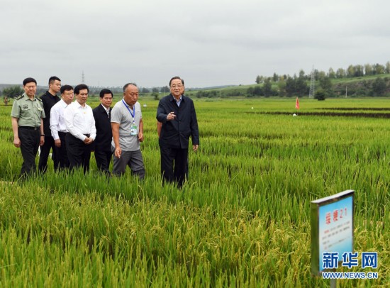 1503051201510093251.jpg 32.jpg