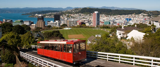 1513320540995045072.jpg 1.jpg