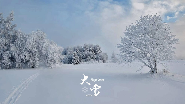 1512631044855076971.jpg 13.jpg