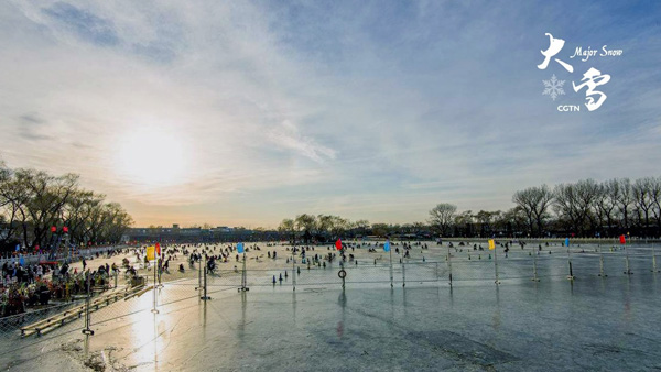 1512631070039080025.jpg 15.jpg