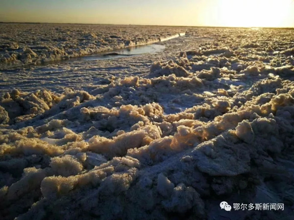 1513332455445094395.jpg 1.jpg