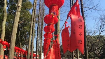 1519952919936054454.jpg 6.jpg