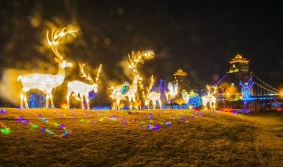 1519885346756045857.jpg 2.jpg