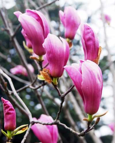 1520927106530012579.jpg 4.jpg