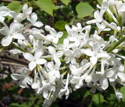 1520927221258073041.jpg 2.jpg