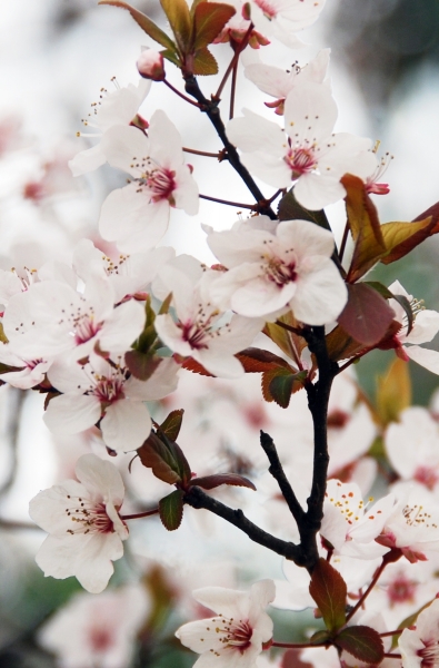 1520927287357004770.jpg 5.jpg