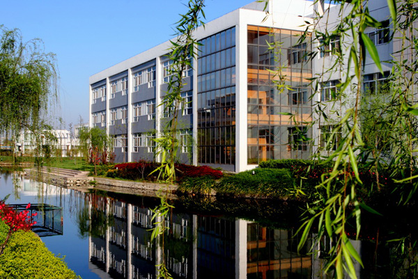 1521681060548080658.jpg new oriental.jpg