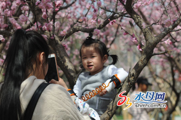 1523437414736014090.jpg 90fba61285311c339fcf05.jpg