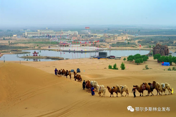 1516179585245093254.jpg 1.jpg