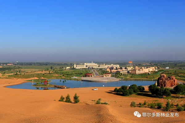 1516179717543065294.jpg 1.jpg