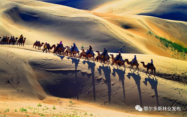 1516179786370066897.jpg 1.jpg