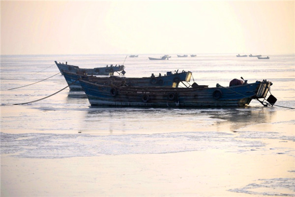 1517366913080094310.jpg a62.jpg