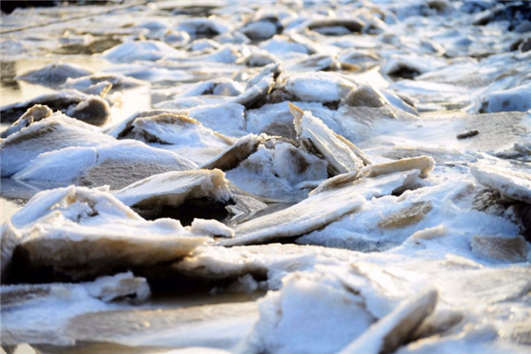 1517366969397039848.jpg 66.jpg