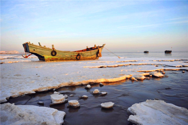 1517366993461086010.jpg 64.jpg