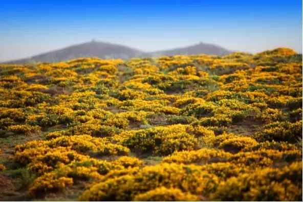 1524821907200056066.jpg 1.jpg