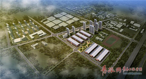 1524890303703012637.jpg 13.jpg