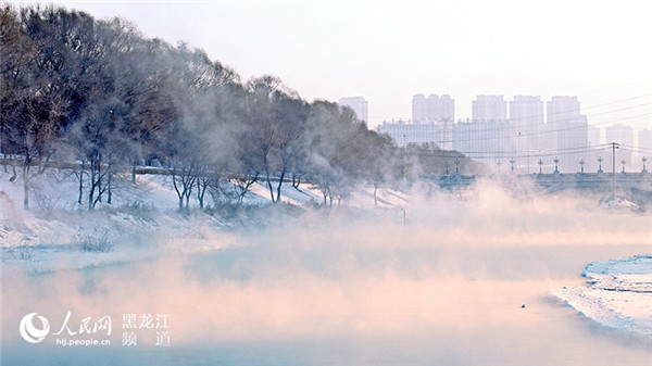 1517388505030082300.jpg 图片24.jpg