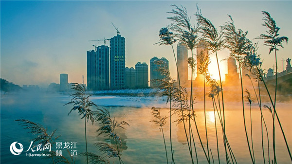 1517388518617034825.jpg 图片25.jpg