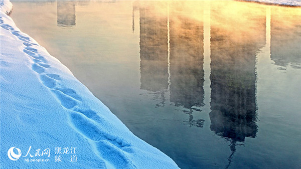 1517388534445028068.jpg 图片26.jpg