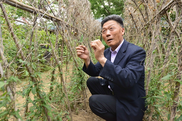 1521449981161029299.jpg 兔子.jpg