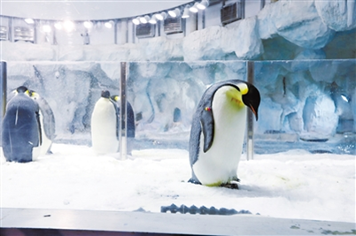 1498613321301029845.png pg.png