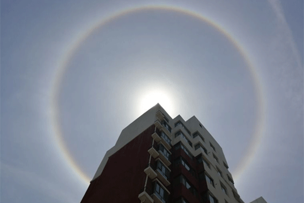 1516348361878087223.gif 31-1.gif