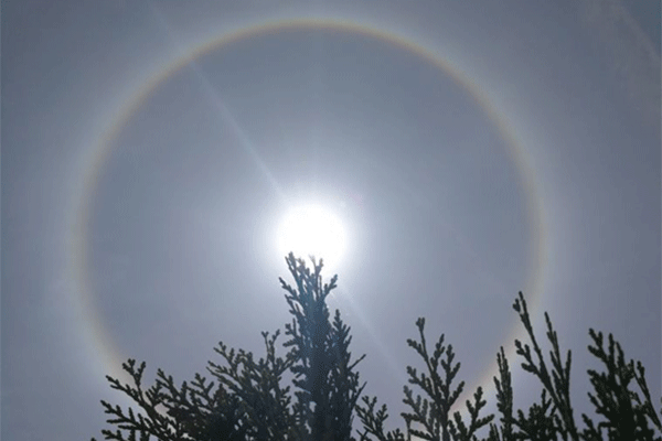 1516348414369005867.gif 32-1.gif