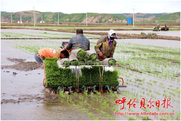 1497527673465050884.png blob.png