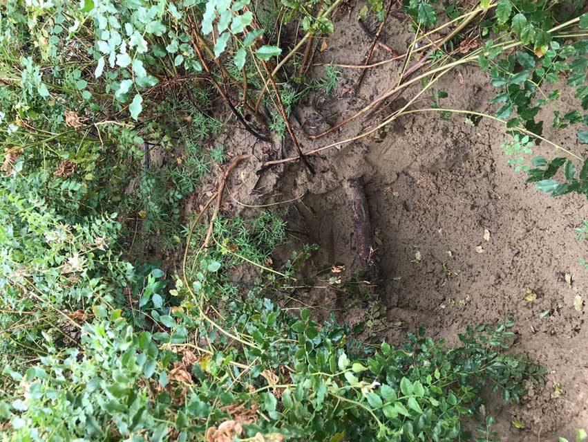 1533806529022048212.jpg 1533806529022048212.jpg