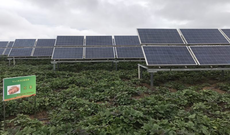 1533806693566058308.jpg 1533806693566058308.jpg