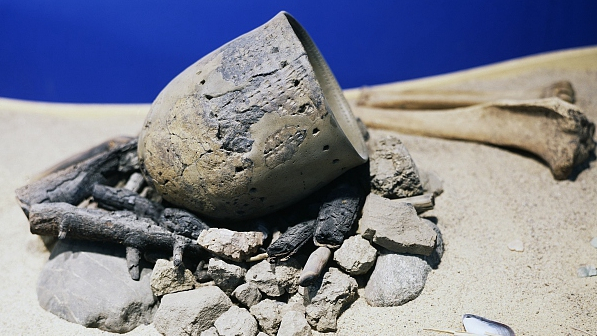 1530667530872042648.jpg 5b3ae2fda31033495a58323b.jpg