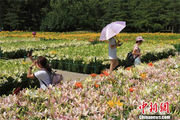 1530694106609058481.jpg 图片5.jpg