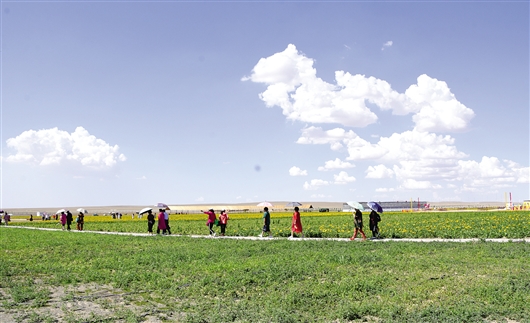 1531103431041018962.jpg res01_attpic_brief (3).jpg