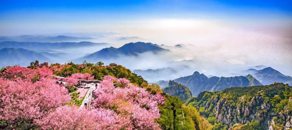 1531183827571060065.jpg 6001.jpg