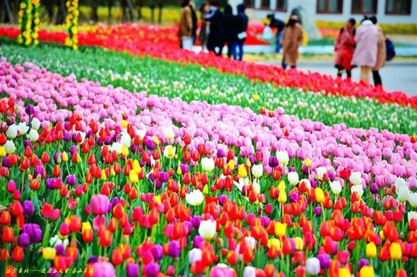 1531183894035066383.jpg 60015.jpg