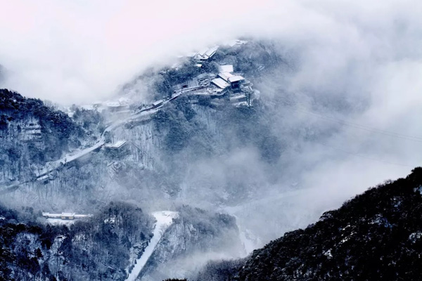 1531184169821064906.jpg 6008.jpg