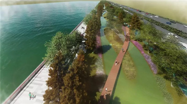 1531272516055017000.jpg jw4_副本.jpg