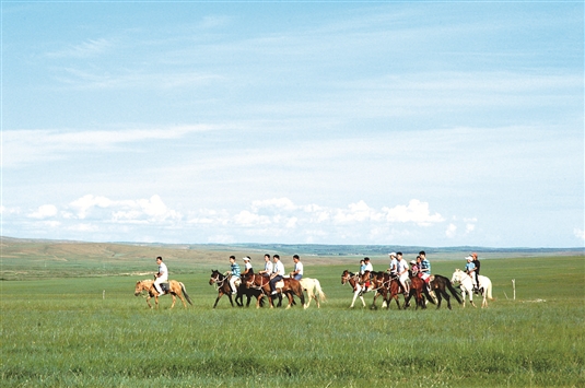 1532072765811007717.jpg 3.jpg