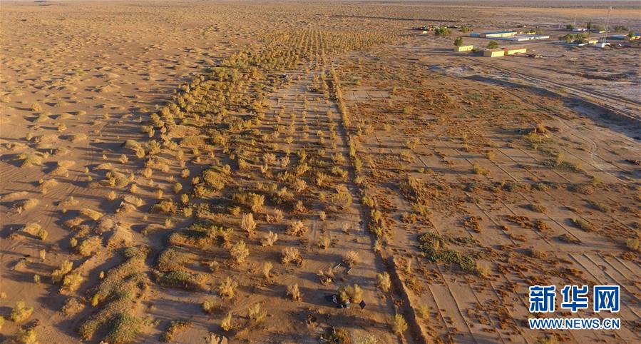 1502178428820021047.jpg 12.jpg