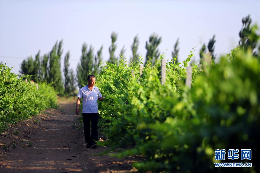 1502178449960000902.jpg 10.jpg