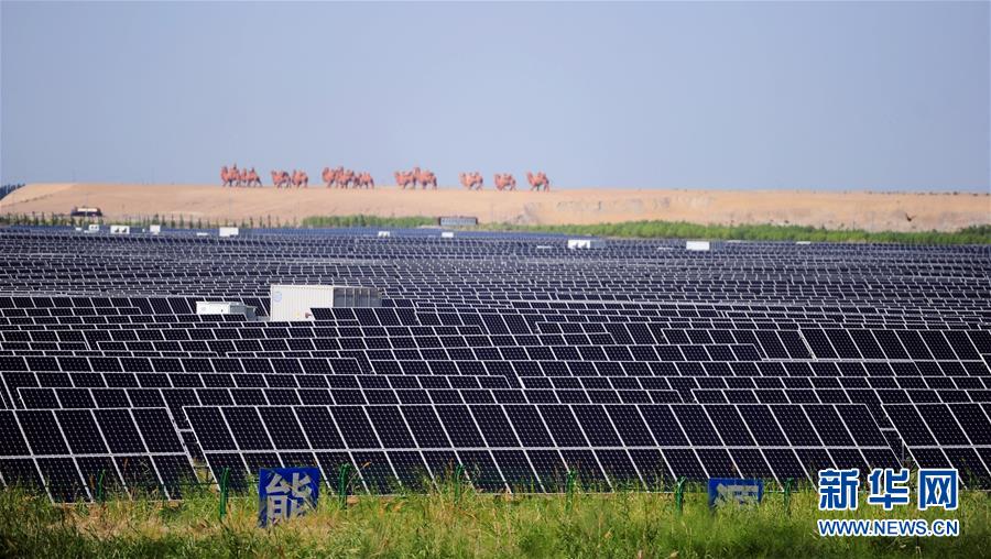 1502178482968023596.jpg 14.jpg