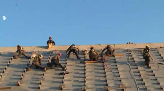 1502342974986085535.jpg 22.jpg