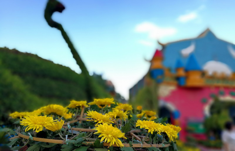 1502963662585079954.jpg 010.jpg