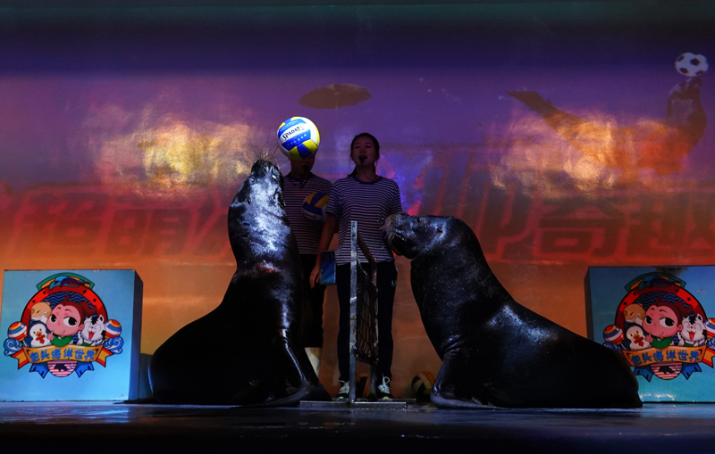 1503050716884086245.jpg 50.jpg