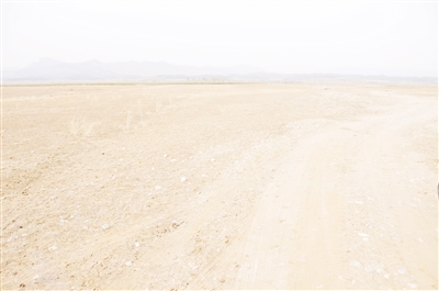 1503471575461053513.jpg 11.jpg